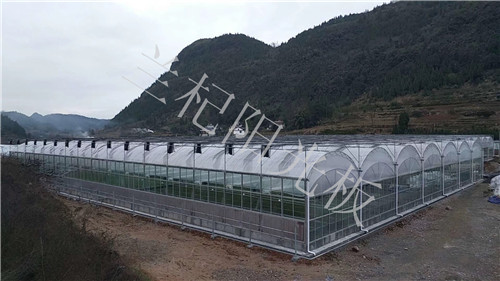 鄭州陽光板溫室設計